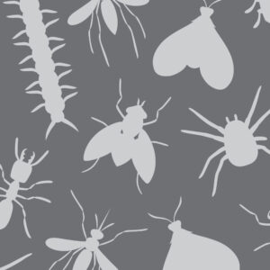 pest control services, pest solutions