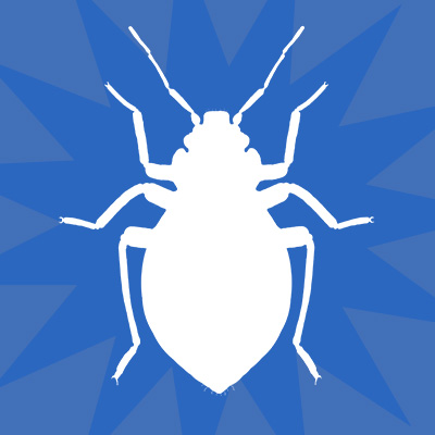 cockroaches, pest control solutions, pest control services
