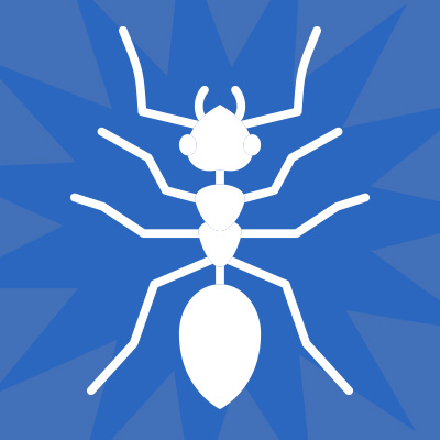 pest control, pest removal, bug spray, 1st choice pest solutions