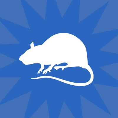 rat removal services, pest control, 1st choice pest control