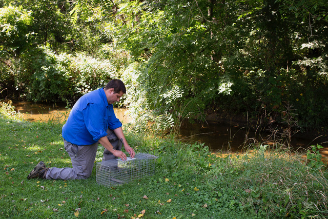 Pest control tech checks trap
