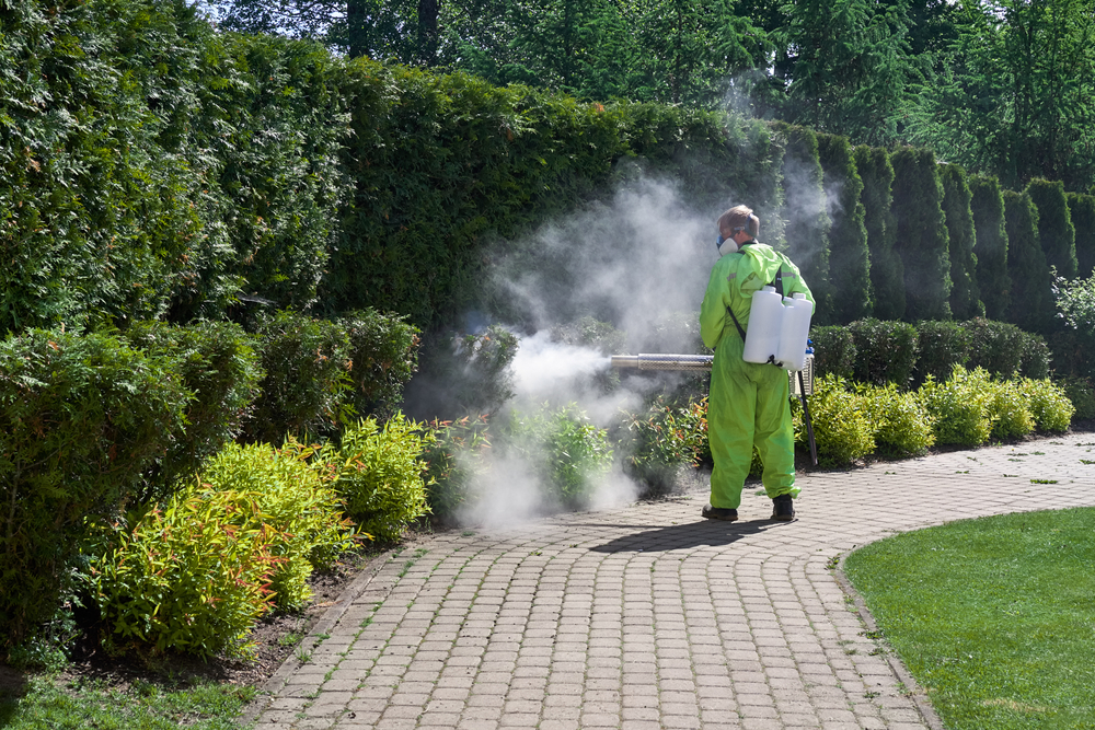 pest control exterminator fogging insecticide smoke outdoor garden eliminate mosquitoes, mites, acarus, ticks.