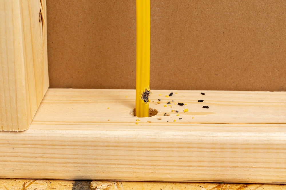 signs of a rodent infestation, such as droppings or gnaw marks