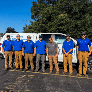 pest control services, pest solutions