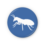 wood destroying insect pest control wisconsin