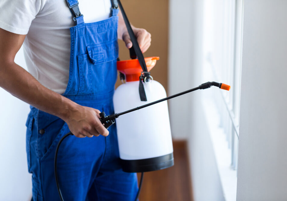 Residential pest control Chippewa